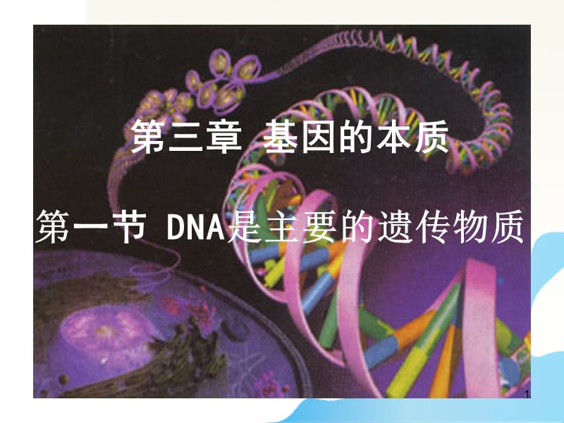 高中生物DNA是主要的遗传物质新人教版必修2ppt课件_第1页