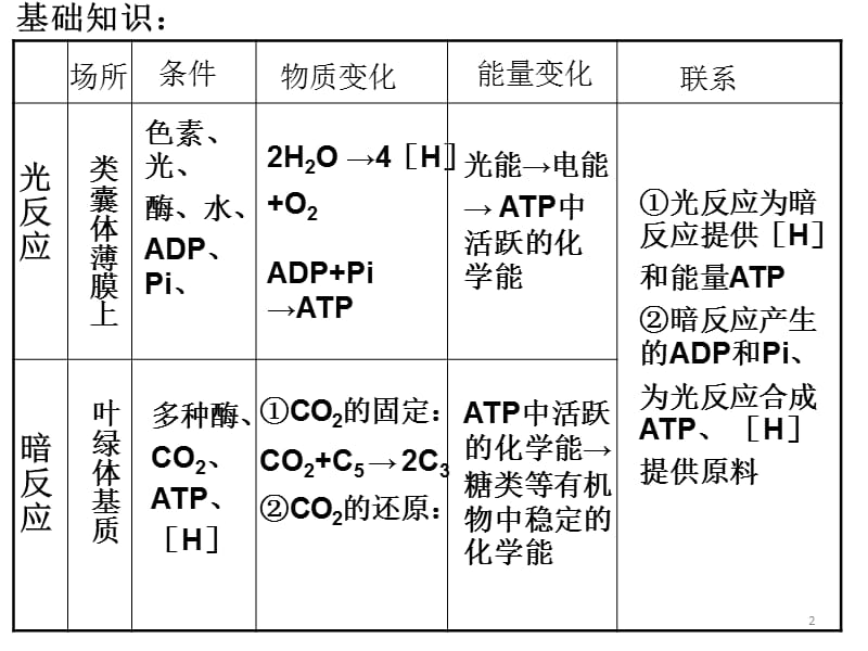 光合作用及环境因素对光合作用的影响ppt课件_第2页