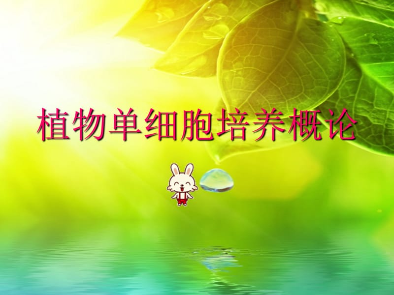 植物单细胞培养概论.ppt_第1页