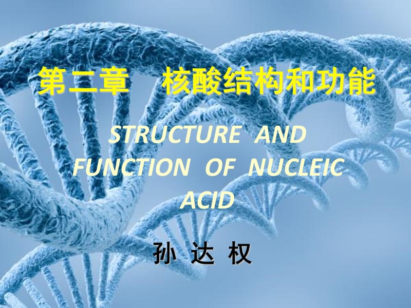 核酸的结构与功能.ppt_第1页