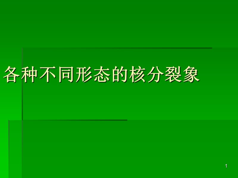 各种不同形态的核分裂象ppt课件_第1页