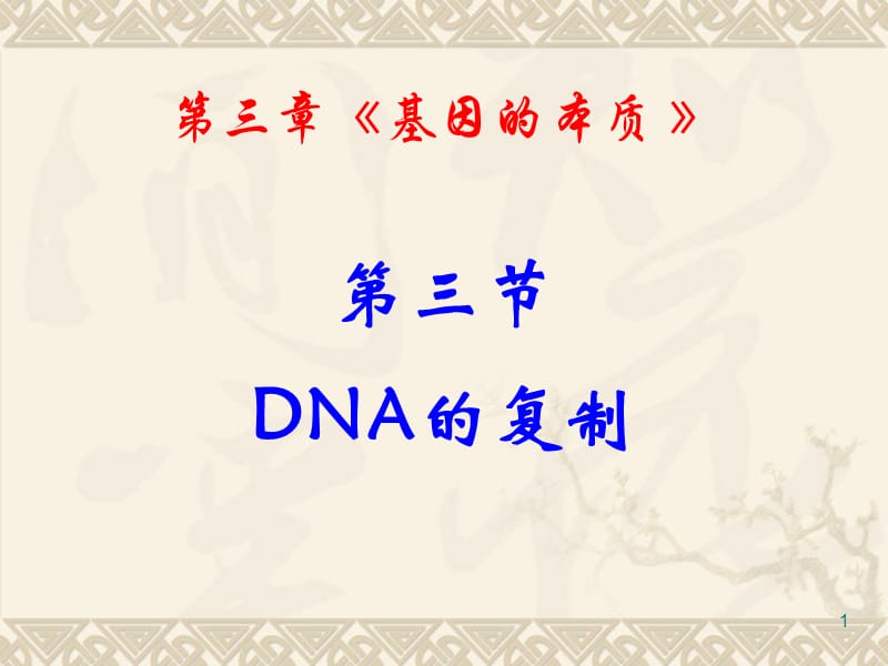 DNA的复制ppt课件_第1页