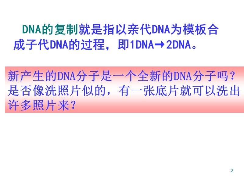 DNA的复制ppt课件_第2页