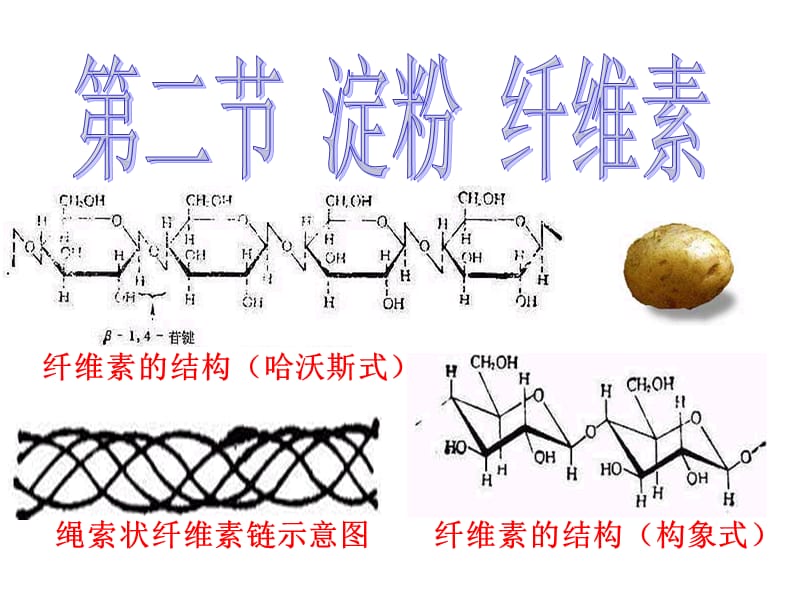 纤维素的结构(构象式).ppt_第1页