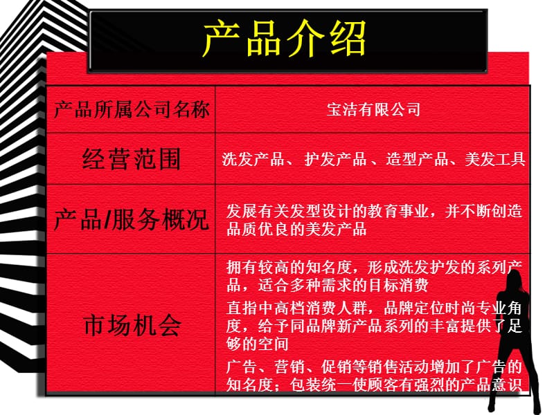 武汉理工大学华夏学院沙宣营销策划.ppt_第3页