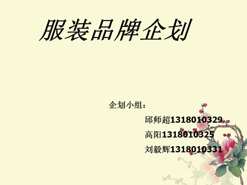 服装品牌设计策划书.ppt_第1页