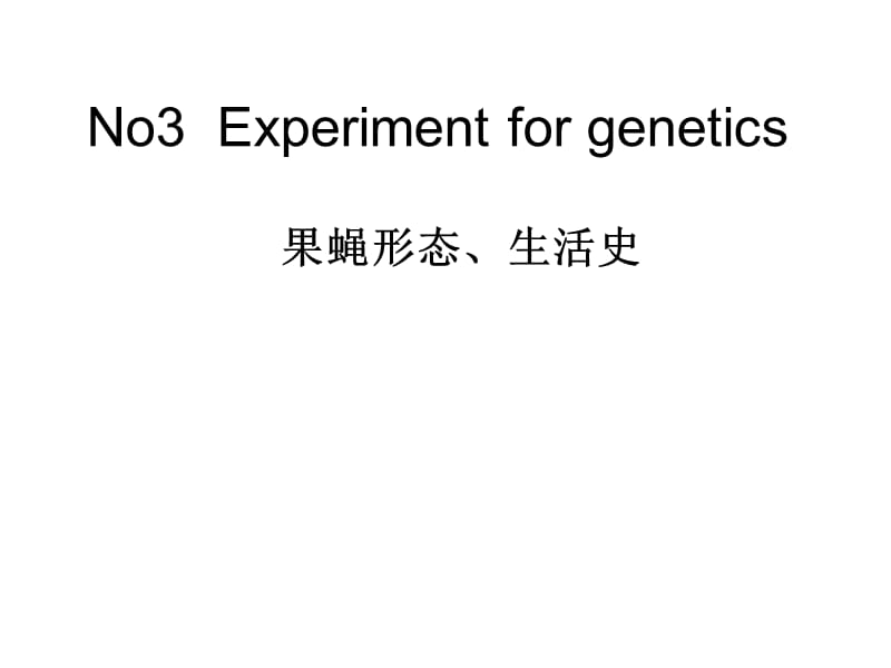 果蝇形态、生活史.ppt_第1页