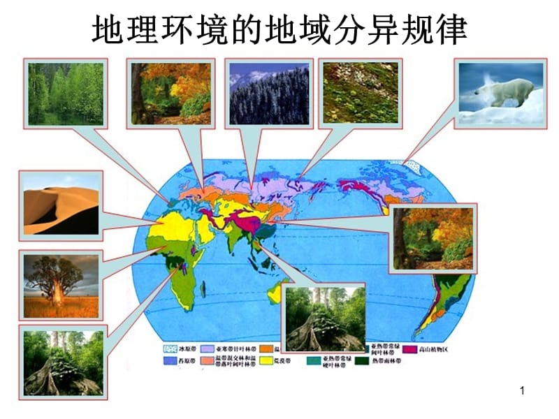 地域分异规律ppt课件_第1页