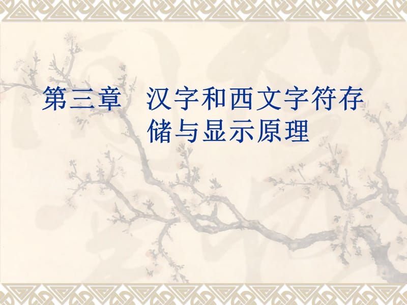 汉字和西文字符存储与显示原理.ppt_第1页