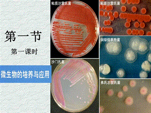 高中生物選修1微生物的培養(yǎng)與應用.ppt