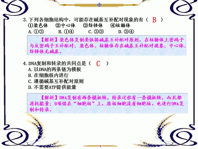 练案15基因指导蛋白质的合成.ppt_第2页