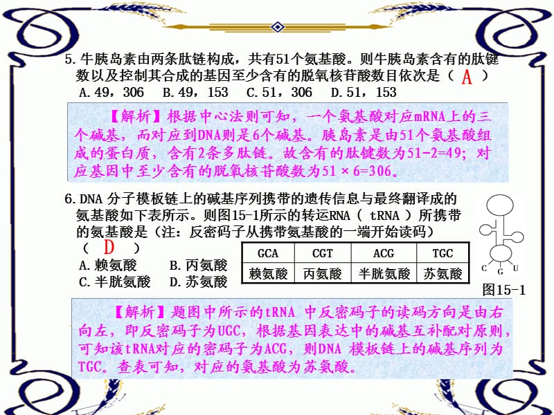 练案15基因指导蛋白质的合成.ppt_第3页