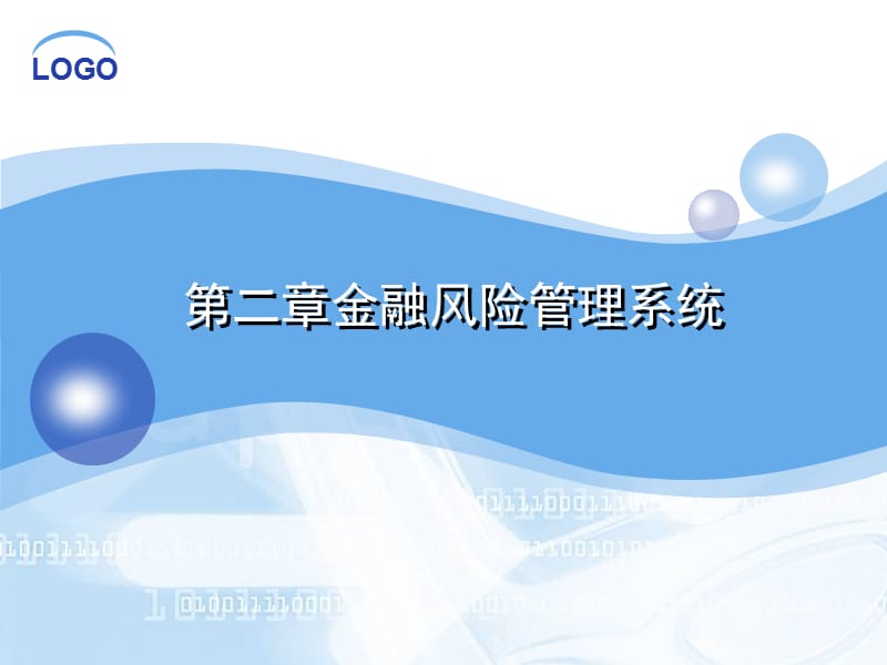 金融風險管理系統(tǒng).ppt_第1頁