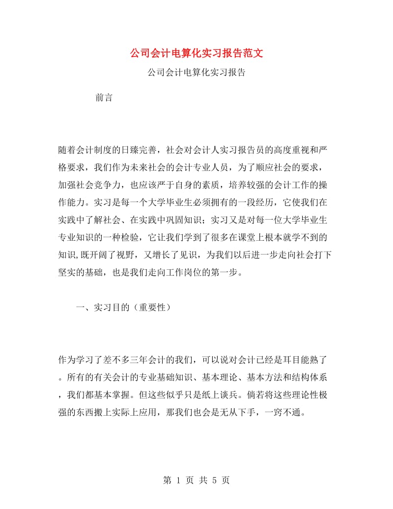 公司会计电算化实习报告范文.doc_第1页