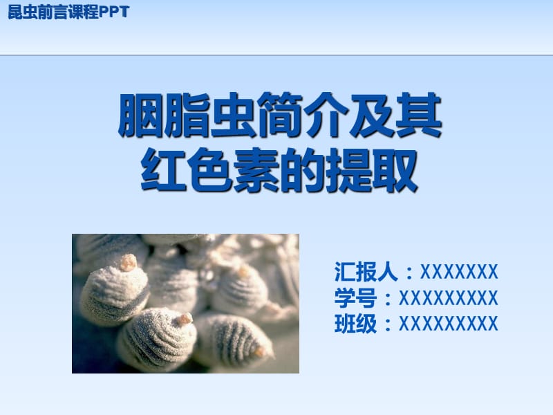 胭脂虫简介及其红色素的提取.ppt_第1页