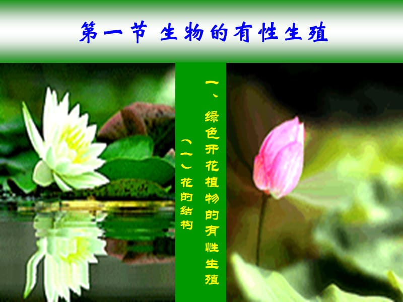 花的结构开花与传粉.ppt_第3页