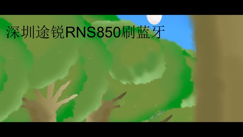 途锐RNS850激活蓝牙.ppt_第1页