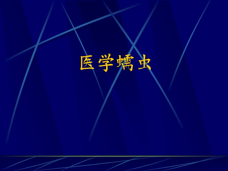 线虫概论、蛔虫及鞭虫.ppt_第1页