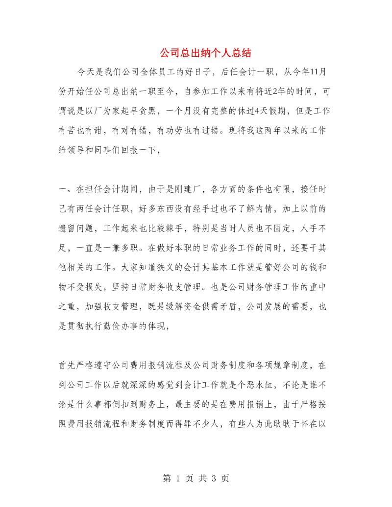 公司总出纳个人总结.doc_第1页