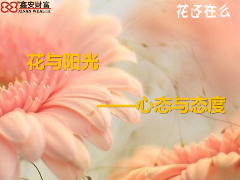 花与阳光心态与态度-薛珊(鑫安财富).ppt_第1页