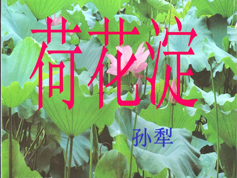 荷花淀孫犁復(fù)述故事梗概(根據(jù)情節(jié)).ppt_第1頁