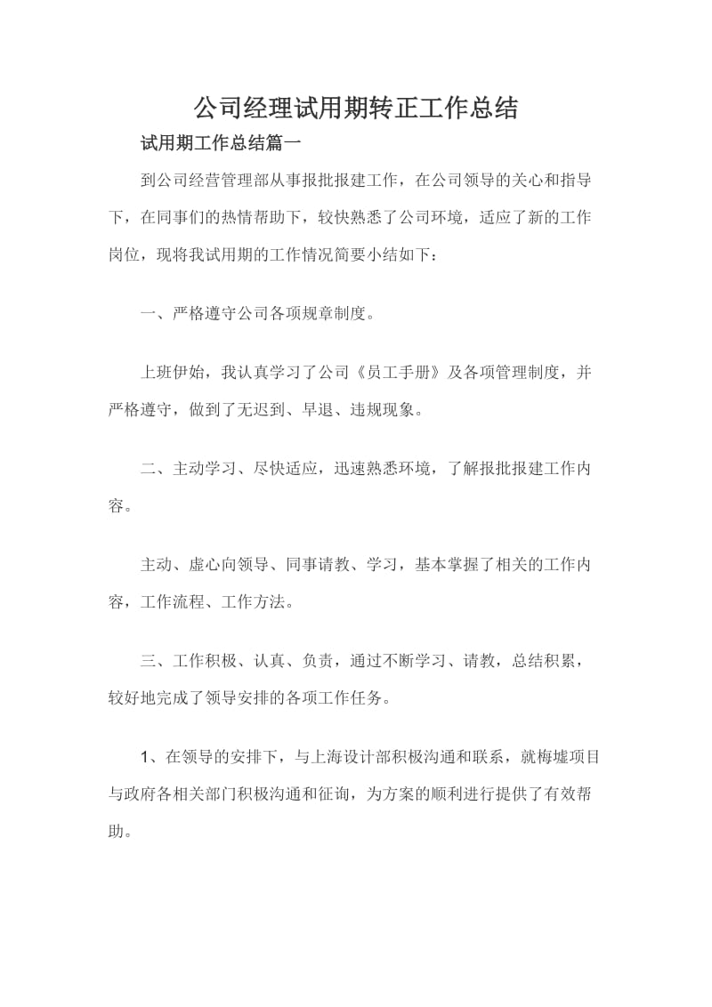 公司经理试用期转正工作总结.docx_第1页