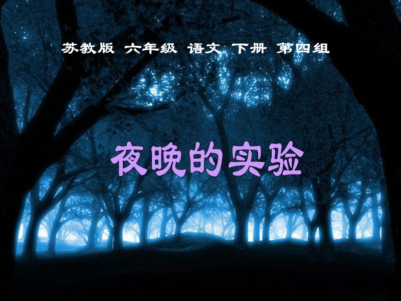 蘇教版小學(xué)語文六年級下冊《12夜晚的實驗》.ppt_第1頁