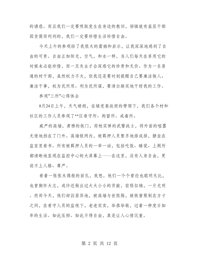 参观看守所、拘留所、戒毒所心得体会(精选多篇).doc_第2页