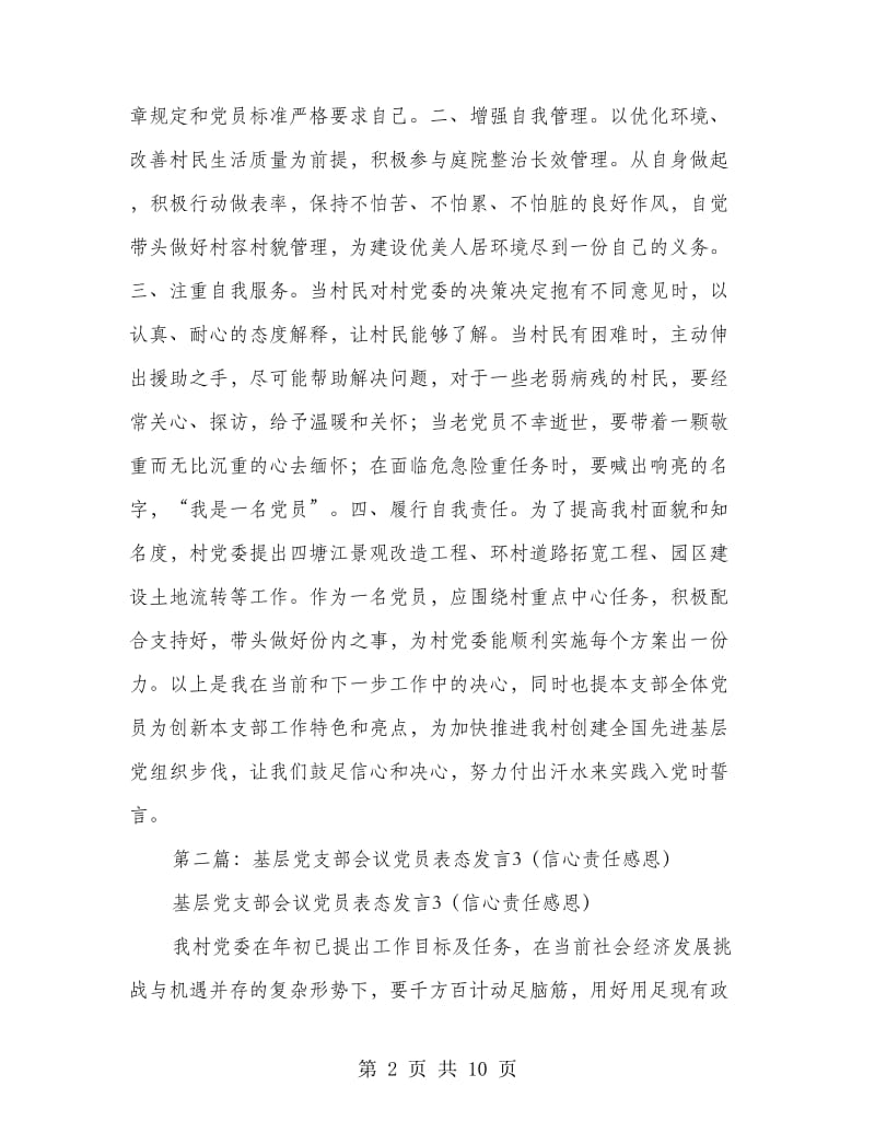 党支部会议发言(精选多篇).doc_第2页