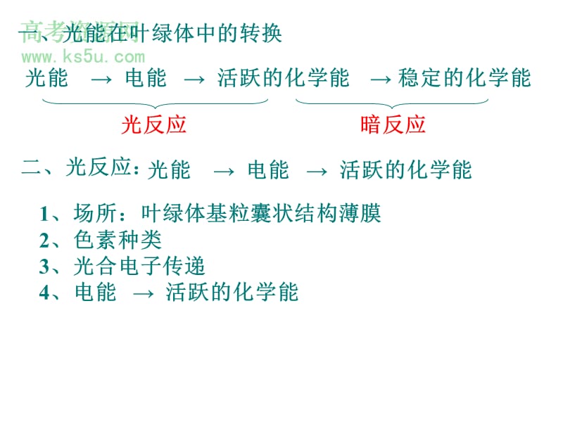 高三生物光合作用.ppt_第2页