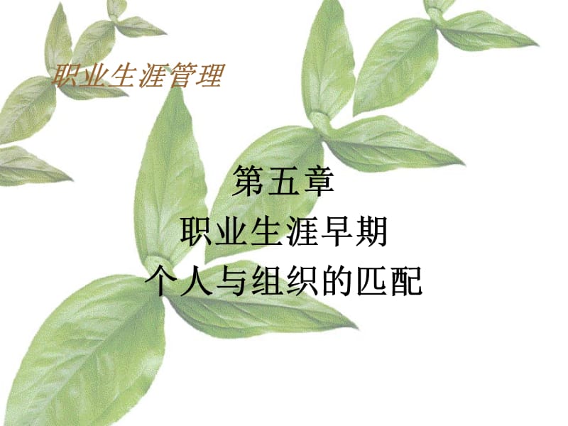 职业生涯早期个人与组织的匹配.ppt_第1页