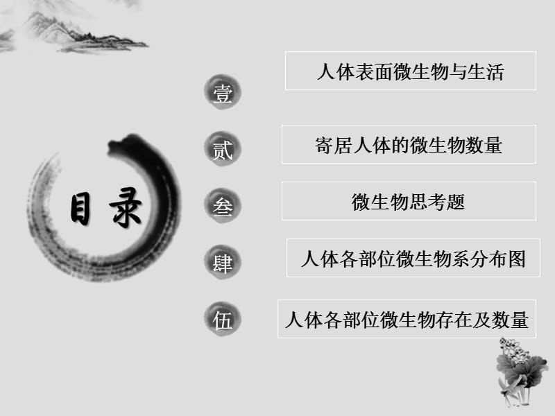 组-人体微生物分布数量.ppt_第2页