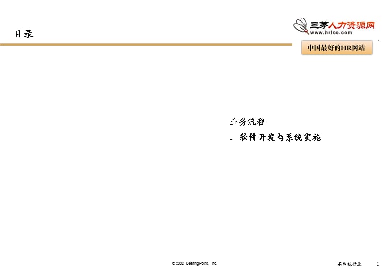 软件开发和系统实施.ppt_第1页