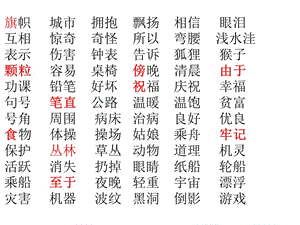 重要詞語聽寫二年級(jí)語文四會(huì)字聽寫.ppt