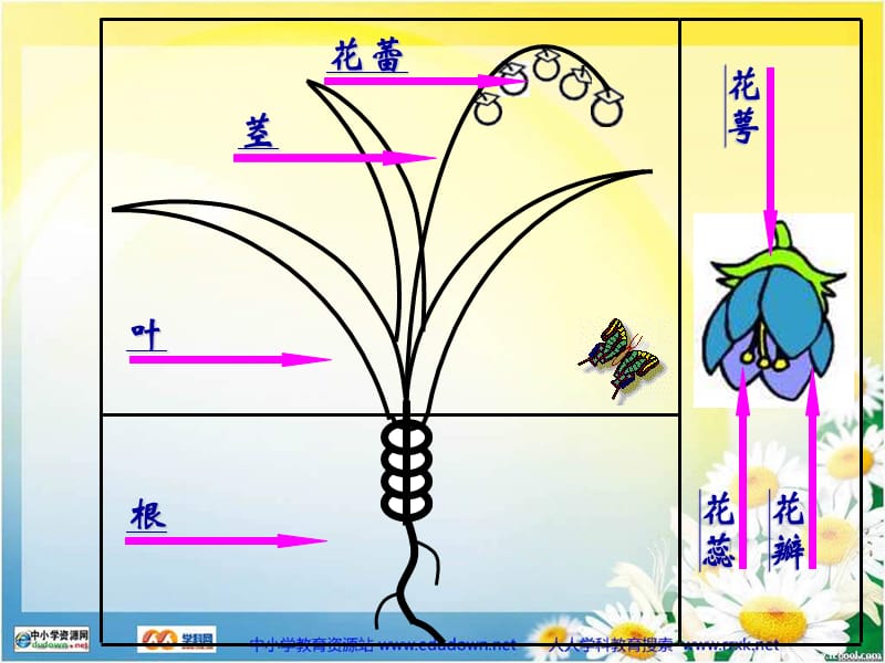 人美小学美术二上《第14课 茂密的花》PPT课件 (2)_第2页