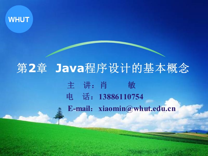 Java程序设计的基本概念.ppt_第1页