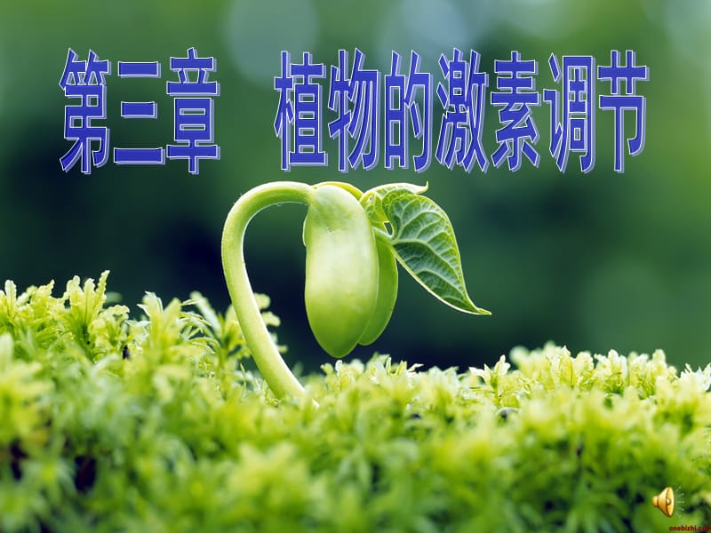 《植物的激素调》PPT课件.ppt_第1页