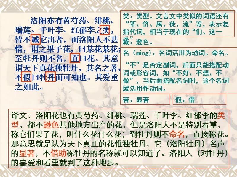 《洛阳牡丹记》语文.ppt_第3页