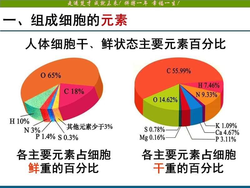 细胞中的元素和化合物.ppt_第2页