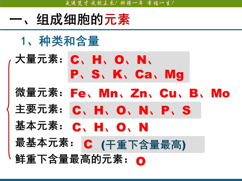 细胞中的元素和化合物.ppt_第3页