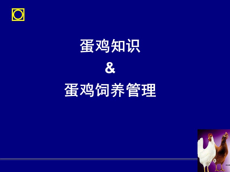 正大蛋鸡知识培训ppt课件_第1页