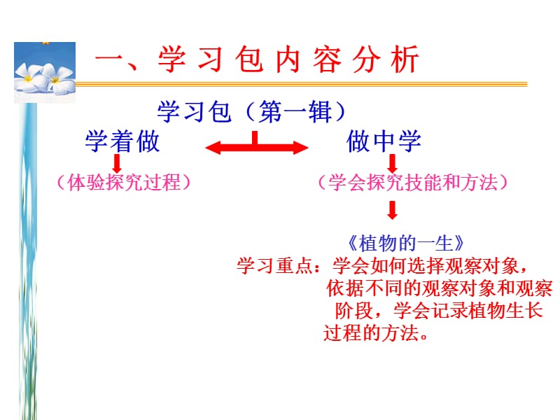 dd植物的一生教学有感.ppt_第2页