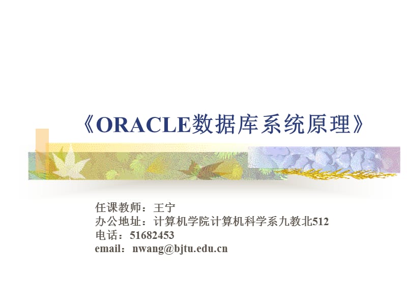 《ORACLE數(shù)據(jù)庫系統(tǒng)原理》.ppt_第1頁