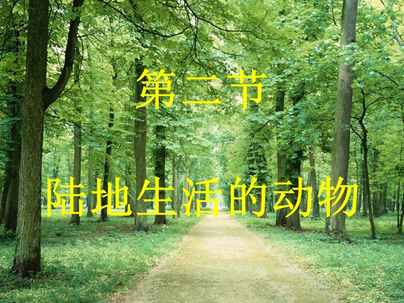 《陸地生活的動物》PPT課件.ppt_第1頁