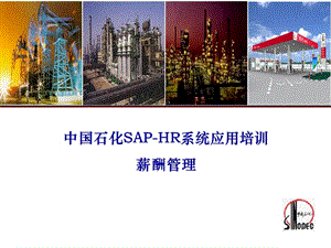 中国石化SAP-HR系统应用培训-薪酬管理.ppt