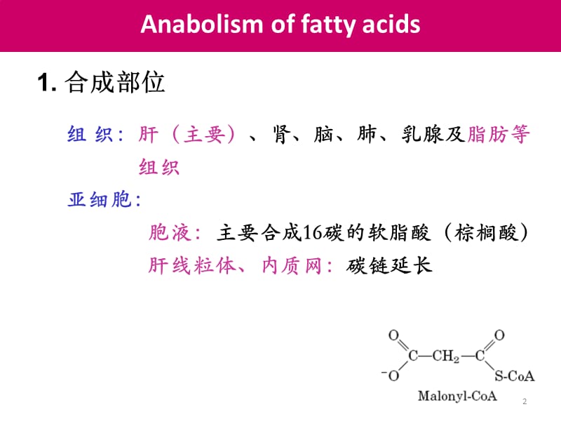 脂肪酸代谢ppt课件_第2页
