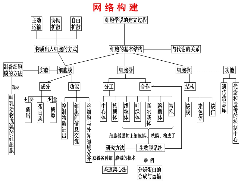 2012高三生物二轮专题复习课件：细胞的基本结构.ppt_第2页