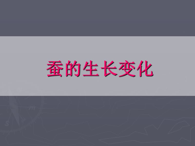 《蠶的生長變化》正.ppt_第1頁