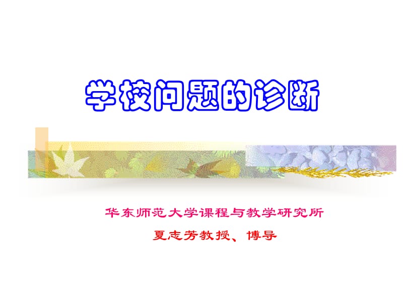 《学校问题诊断》PPT课件.ppt_第1页