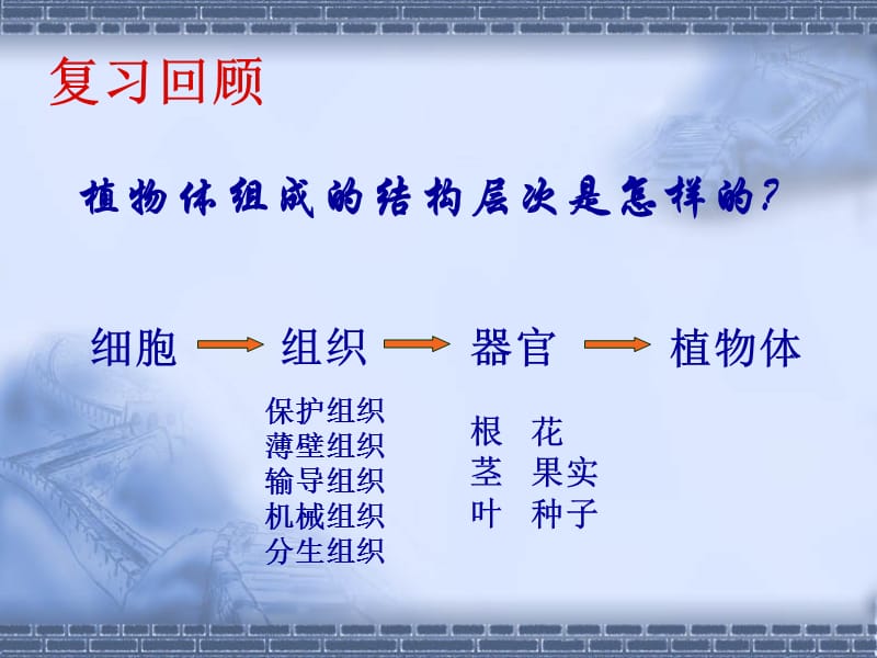 《人体的组成》PPT课件.ppt_第1页